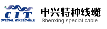 Guangdong Shenxing Special Wire Co., Ltd.